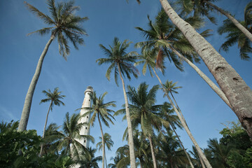 Stunning View with Coconut Trees and Lighthouse Against the Blue Sky