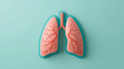 Anatomical model of human lungs on a teal background