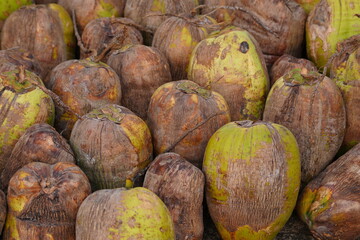 A high-angle, full-frame shot capturing a tight, close-up texture of many harvested coconuts,...