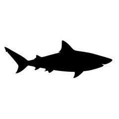 Obraz premium Shark silhouette