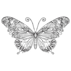 Detailed Ornamental Butterfly Vector Illustration with Intricate Swirling Patterns