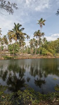 A tranquil freshwater lake at Kappil Beach in Kerala, India, captured on a bright and sunny January day. The calm water reflects the clear sky and surrounding tropical landscape.