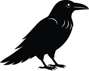 Raven Silhouette – Black Crow Bird Vector Illustration