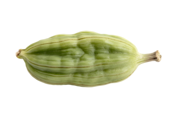 Single green cardamom pod isolated on transparent background