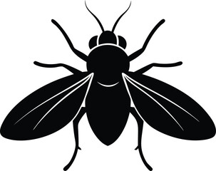Whitefly Silhouette – Insect Pest Vector, Fly Silhouette – Insect Vector Illustration on White Background