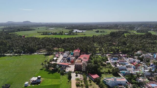Vibrant rooftops meet endless greenery in this stunning aerial view of a tropical South Indian town surrounded by palm trees and fertile fields.