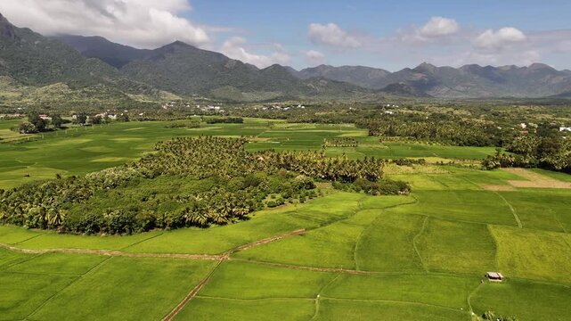 Stunning drone video of a vibrant valley town in South India, framed by green fields and majestic forested mountains under dramatic clouds on a sunny day.