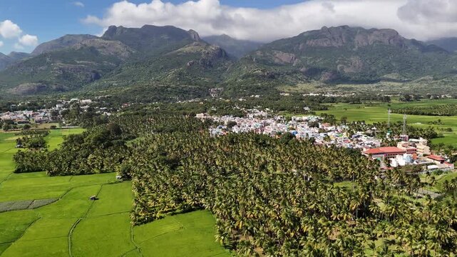 Aerial view of Tamil Nadu&rsquo;s fertile plains with lush paddy fields, coconut groves, villages, and water bodies. Ideal for agriculture and rural economy documentaries.