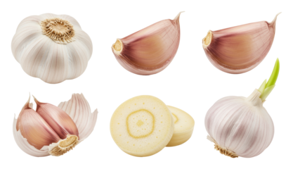 Fresh garlic bulbs, cloves, and sliced rounds arranged on transparent background