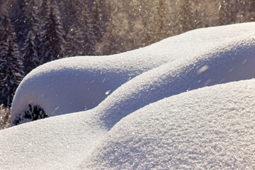 Snowfall with snowflakes in the air a cold winter in a woodland