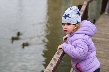 Little girl in lavender jacket and star hat looking at ducks on the water from a wooden bridge. Childhood outdoor activity.