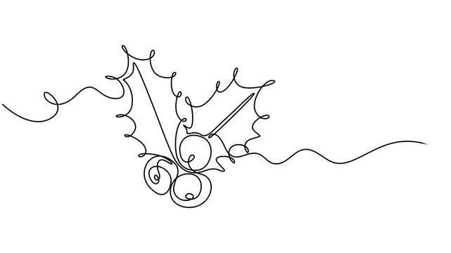 Video. Mistletoe holly drawing with one continuous line, Christmas plant in continuous line drawing style. Line art of holly leaves with berry. Vector illustration. Abstract background, full length 4k