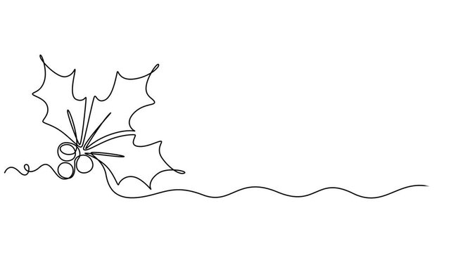 Video. Mistletoe holly drawing with one continuous line, Christmas plant in continuous line drawing style. Line art of holly leaves with berry. Vector illustration. Abstract background, full length 4k