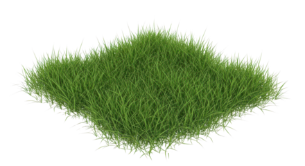 Isolated square patch of fresh green grass for architectural visualization and design projects isolated PNG with Transparent Background