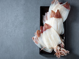 Semi dried squid, dried fish