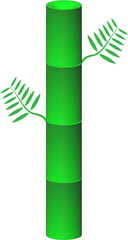 Illustration of a Green Bamboo Stalk, Bamboo Shoots with Leaves