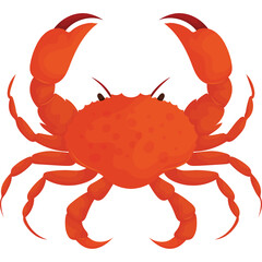 Vibrant Orange Crab With Claws Raised in Aggressive Pose Against White Background Detailed Seafood Illustration