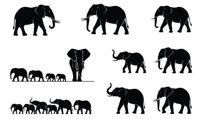 elephants in silhouette vector illustration.