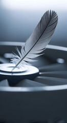 Close-up of a feather resting on a smooth surface with a soft blurred background, emphasizing texture and detail in a monochrome color scheme