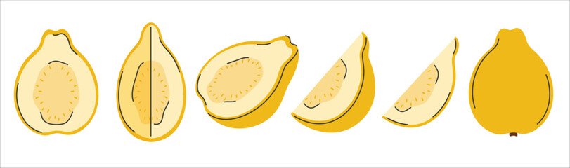 Hand drawn set of yellow guava. Whole guava fruit, half, quarter, piece. Cutted tropical fruits