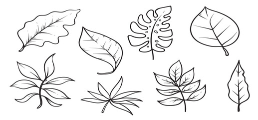 Hojas vector illustration.