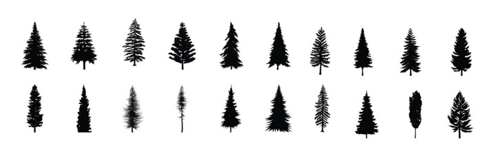 high detailed pine trees silhouette vector