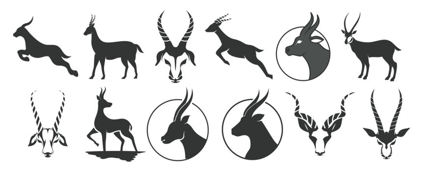 Icon set antelope vector illustration