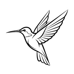 Hummingbird line art vector illustration for coloring pages and tattoo design with transparent background