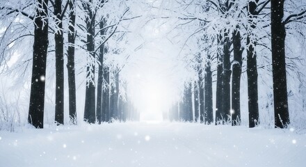 Fototapeta premium Magical Winter Forest Path Lined with Snow-Covered Trees Leading to a Bright Light Source