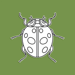 Ladybug Line Art, Beetle Outline Vector