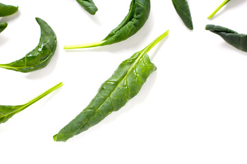 Curled spinach leaves on white background.