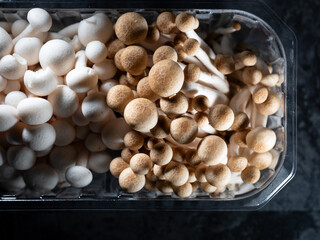 Fresh mushrooms in a plastic bowl