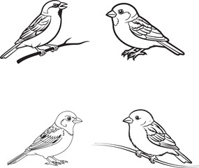 Obraz premium Bird Silhouette Set with Perched and Standing Poses in Detailed Feather Styles