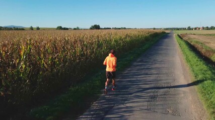 Runner in orange sports jacket jogging along rural road beside cornfield on sunny day. Concept of outdoor training, fitness and healthy lifestyle