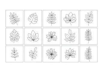 Collection of elegant minimalist line art botanical illustrations featuring diverse leaf shapes and subtle floral designs