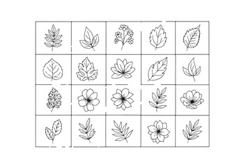Botanical line art collection featuring a diverse array of hand-drawn leaves and floral elements for design projects