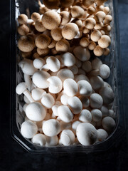Fresh mushrooms in a plastic bowl