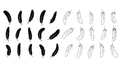 Set of feather silhouettes isolated on white background for design