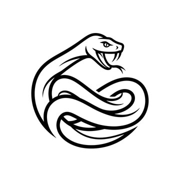 Snake vector graphic illustration, black and white snake drawing, snake outline, snake design element