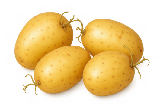Raw potato tubers for cooking. Fresh organic root vegetables, healthy carbohydrate source, culinary ingredient on transparent background