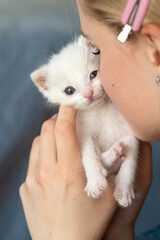 Young caucasian female holding adorable white kitten close to face. Happy Cat Month