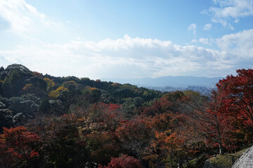 Natural landscape of Changing Autumn color leaves park with cloudy blue sky