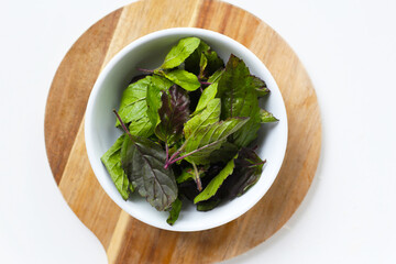Holy basil, Fresh leaves of herb plant