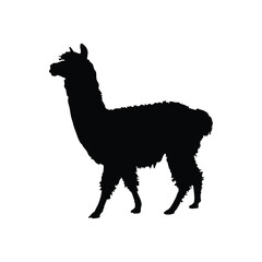 Solid black llama silhouette vector illustration
