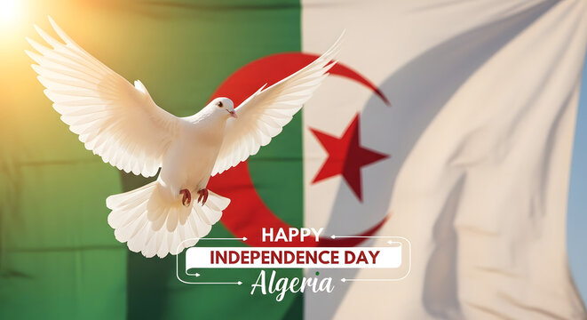 White dove soars against a large, gently waving Algerian national flag illuminated by bright sunlight.