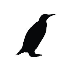 Solid black penguin silhouette vector illustration