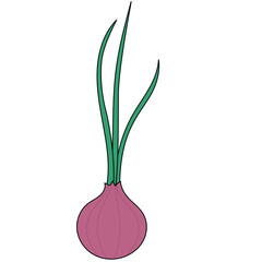 onion icon