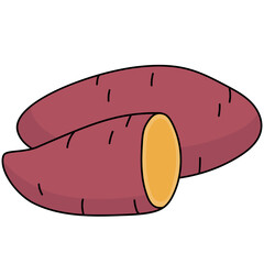 vector illustration of sweet potato