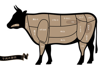 牛肉の部位の名称　日本語表記