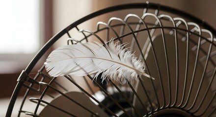 A white feather resting on the curved metal frame of a decorative fan with a blurred indoor background